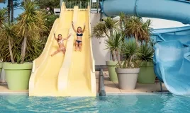 toboggan